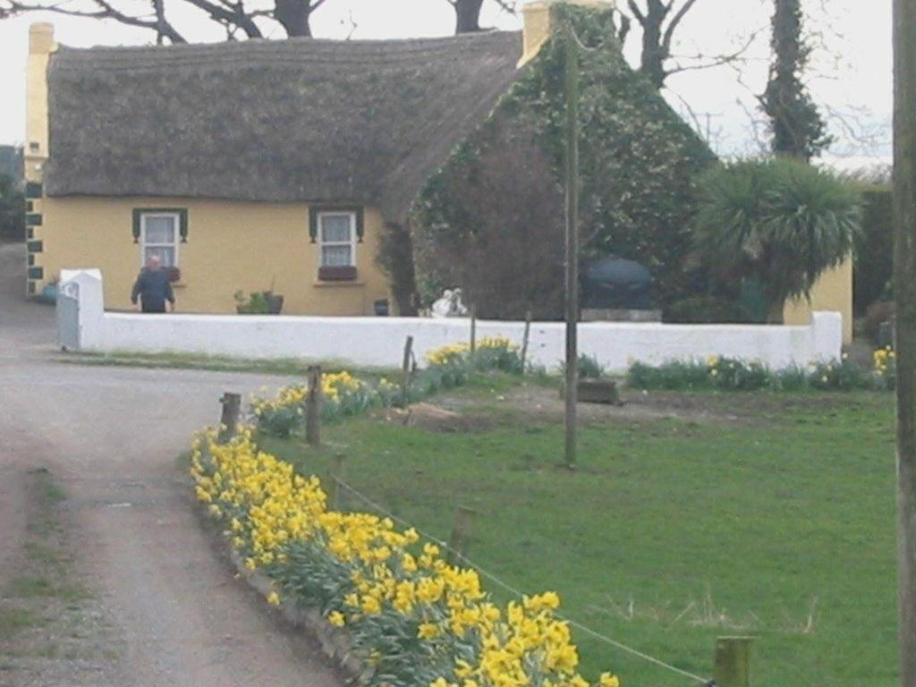 Knights Haven Bed and Breakfast Glin Eksteriør billede